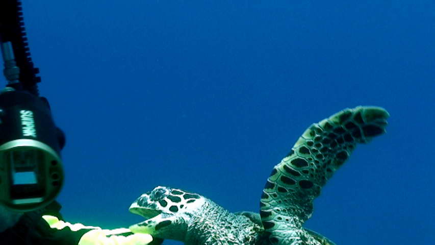 Madagascar-Nosy Be
